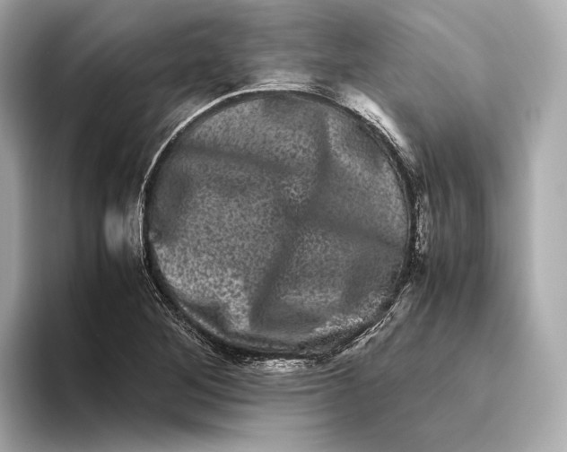 X0000093491268200711020945