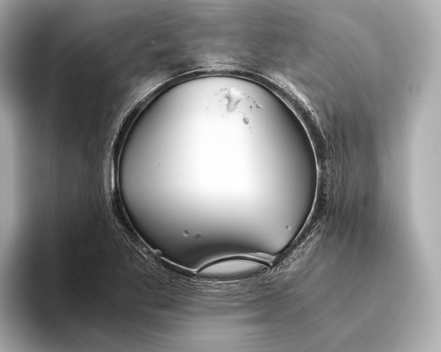 X0000093491269200711020945