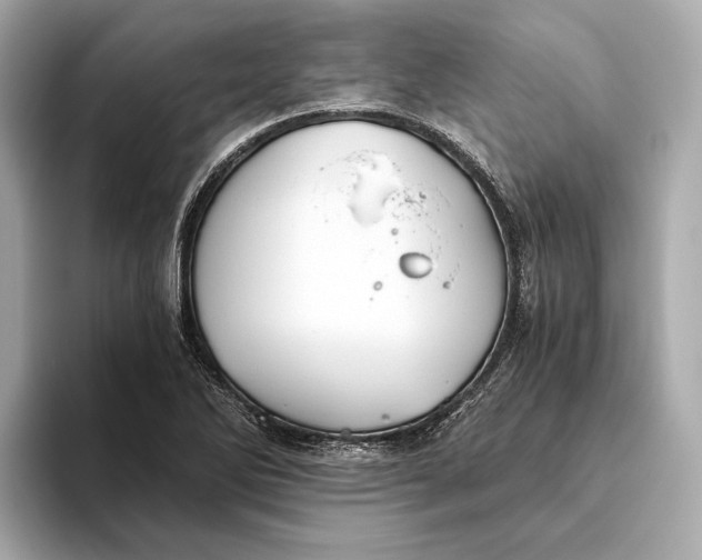 X0000093491270200711020945