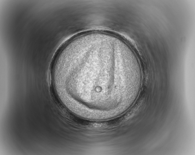 X0000093491271200711020945