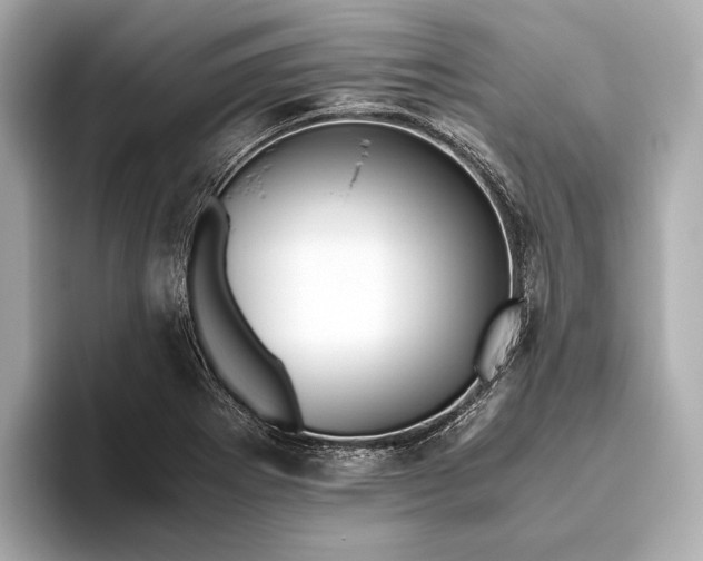 X0000093491273200711020945