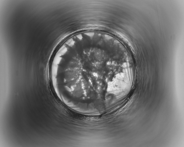 X0000093491275200711020945