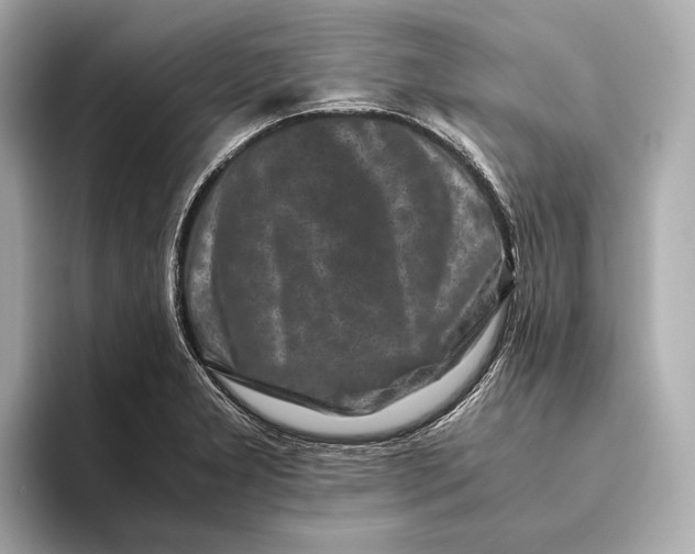 X0000093491277200711020945