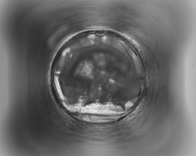 X0000093491279200711020945