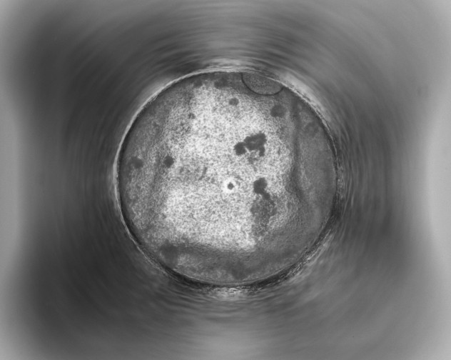 X0000093491283200711020945