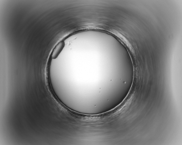 X0000093491285200711020945