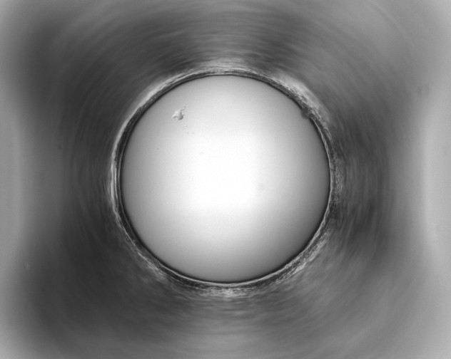 X0000093491286200711020945