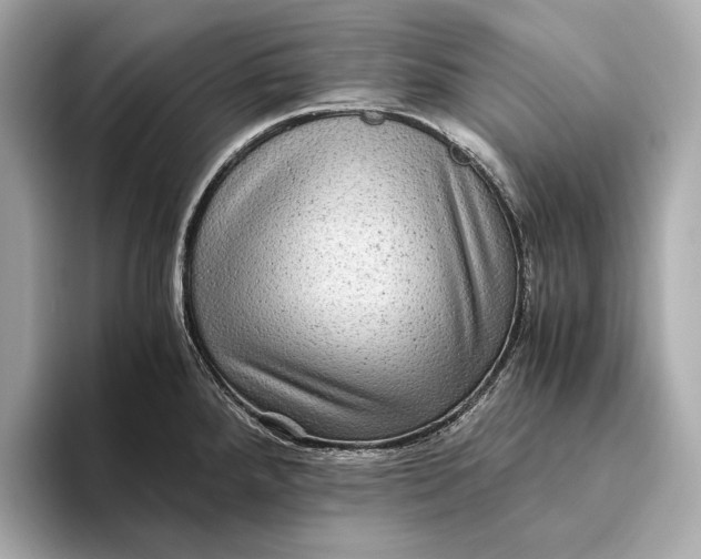 X0000093491288200711020945