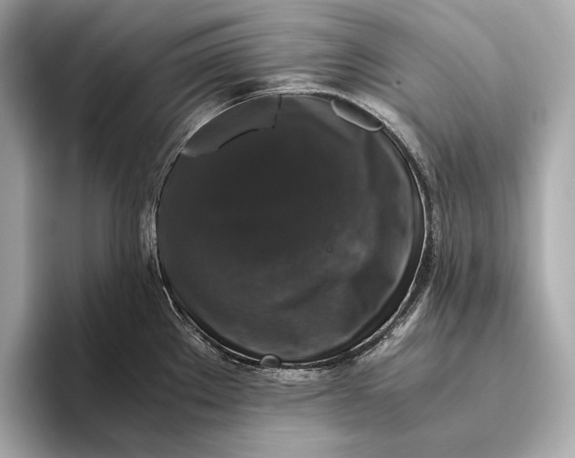 X0000093491289200711020945