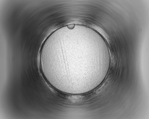 X0000093491290200711020945