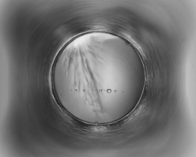 X0000093491291200711020945