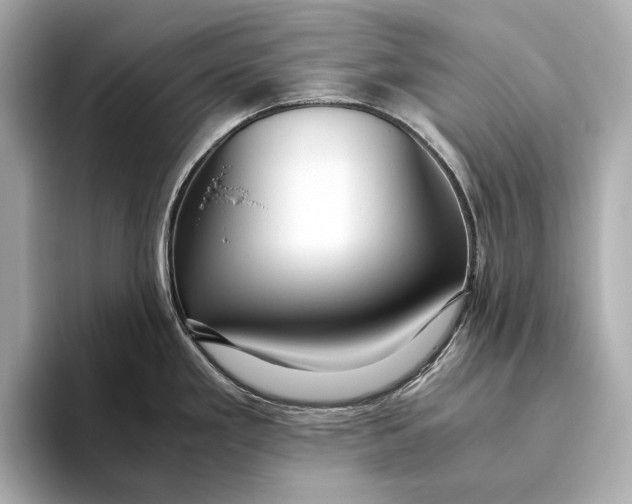 X0000093491293200711020944