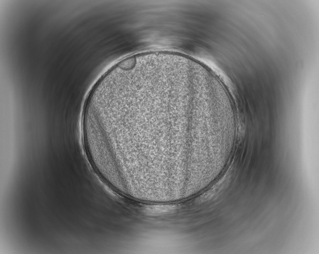 X0000093491294200711020944