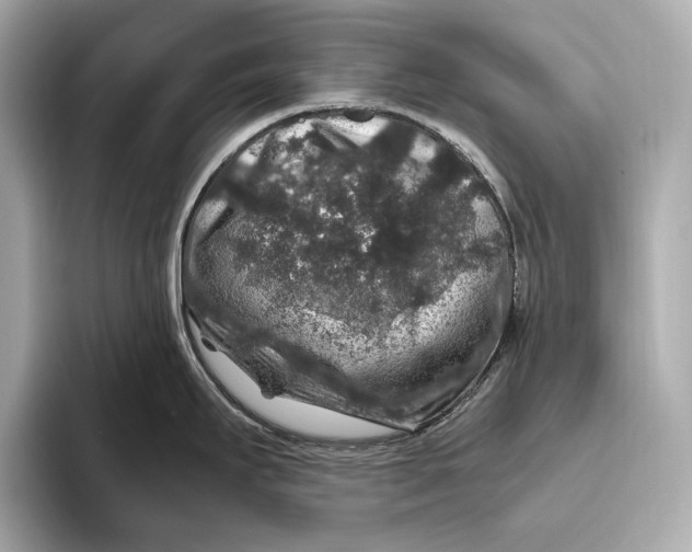 X0000093491295200711020944