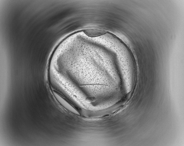 X0000093491296200711020944