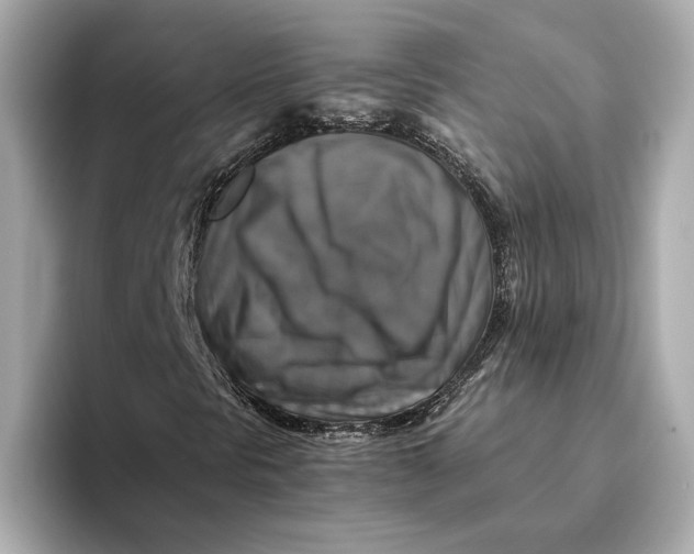 X0000093491297200711020944