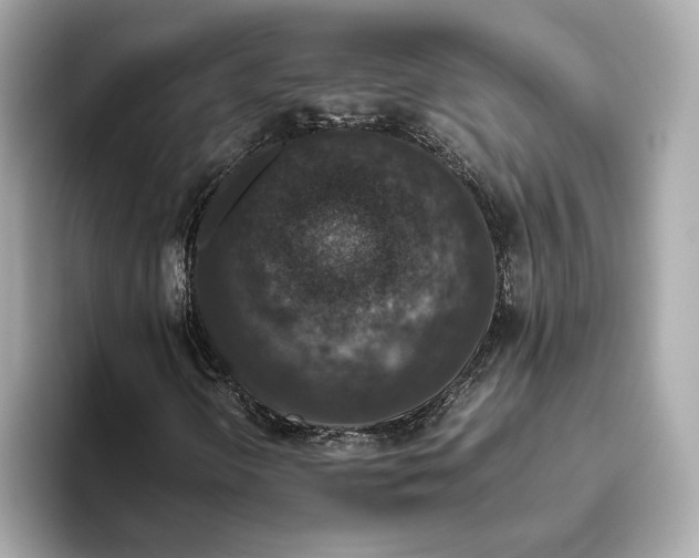 X0000093491298200711020944