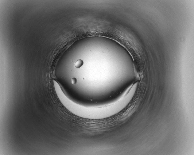 X0000093491300200711020944