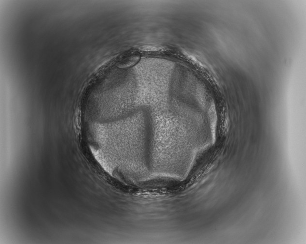 X0000093491301200711020944