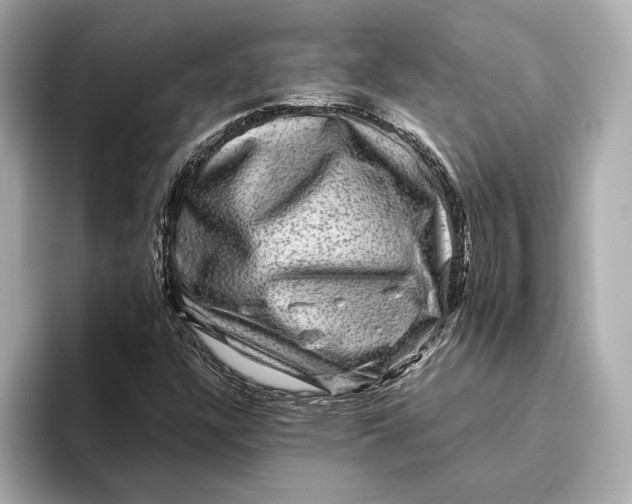 X0000093491304200711020944