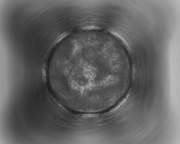 X0000093491305200711020944