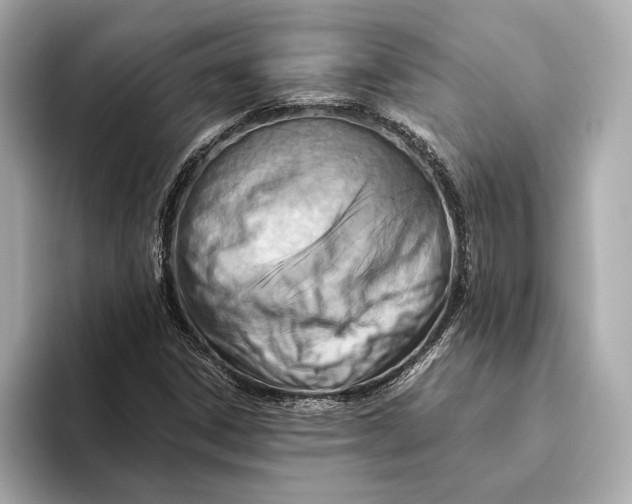 X0000093491306200711020944