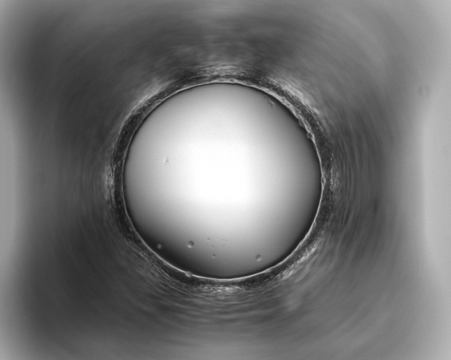 X0000093491309200711020944