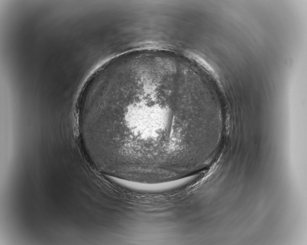 X0000093491310200711020944