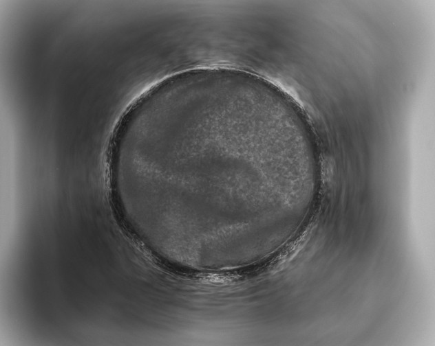 X0000093491311200711020944