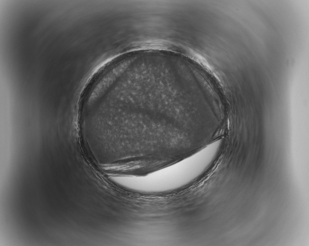 X0000093491312200711020944