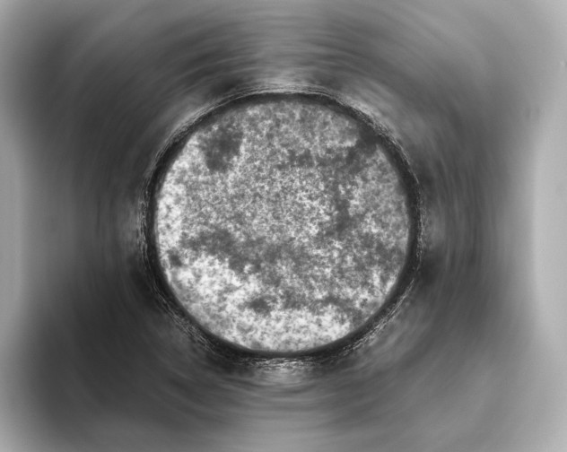 X0000093491314200711020944