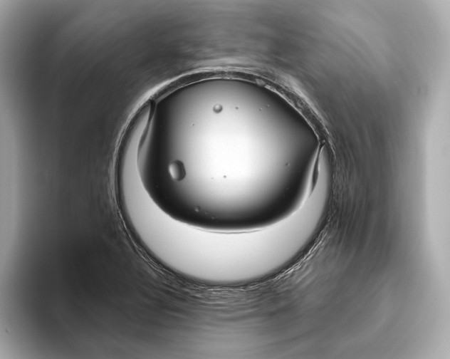 X0000093491320200711020944