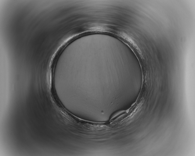 X0000093491323200711020944