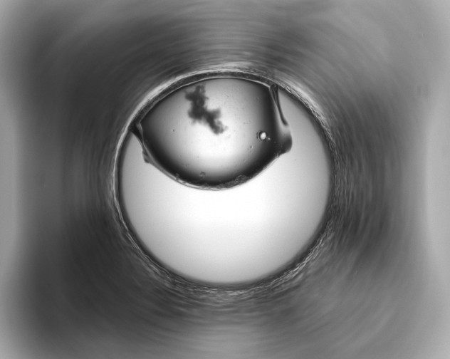 X0000093491324200711020944