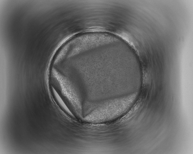 X0000093491325200711020944