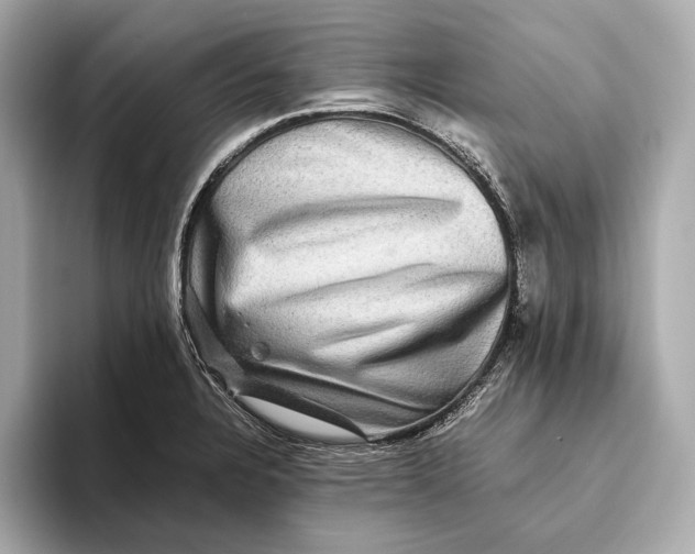 X0000093491328200711020944