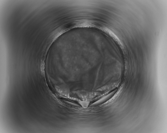 X0000093491329200711020944