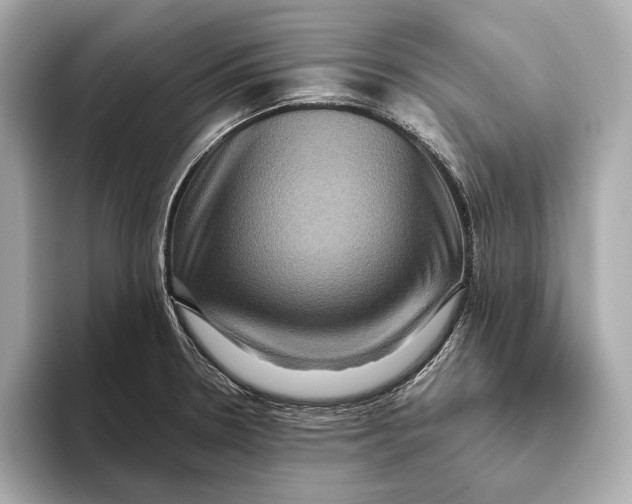 X0000093491330200711020944