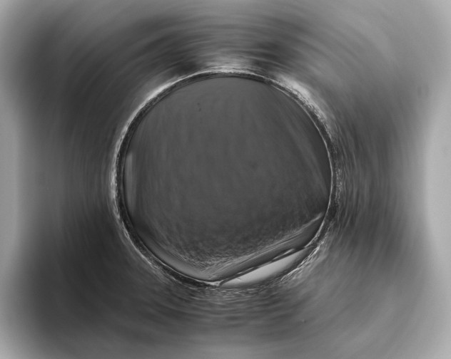 X0000093491331200711020944