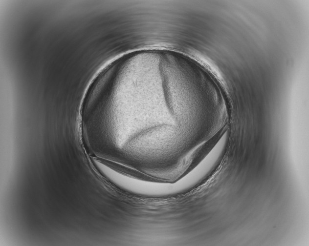 X0000093491332200711020944