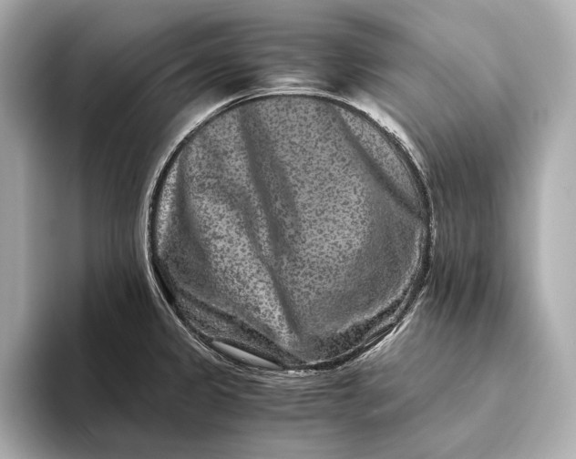 X0000093491333200711020944