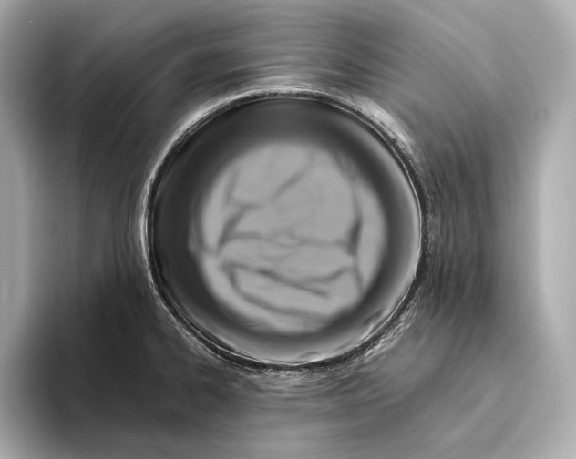 X0000093491334200711020944