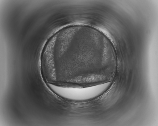 X0000093491335200711020944