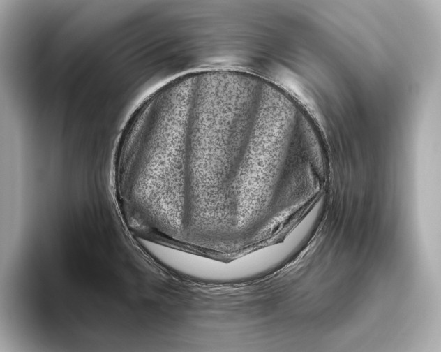 X0000093491336200711020944