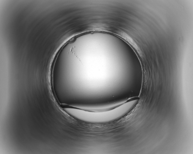 X0000093491339200711020944