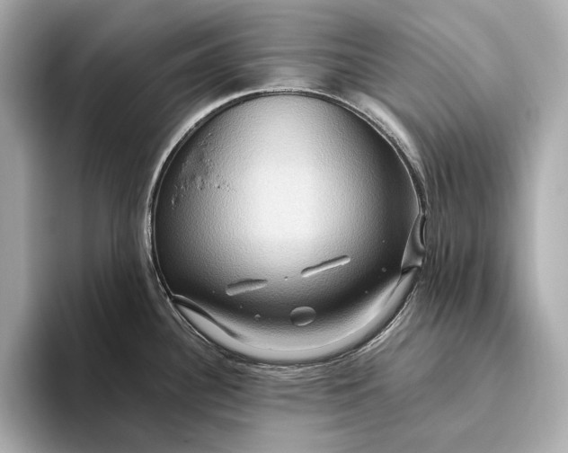 X0000093491340200711020944