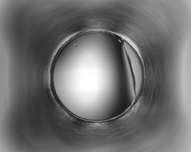 X0000093491341200711020944