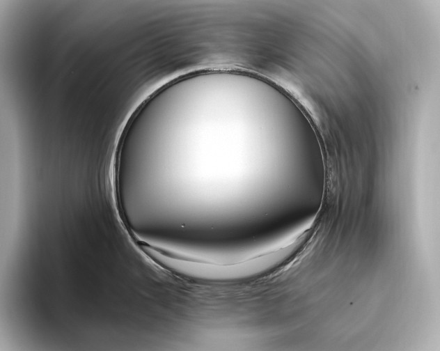 X0000093491343200711020944