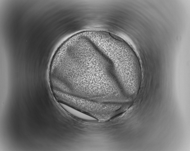 X0000093491344200711020944