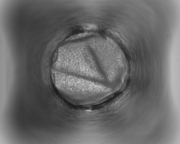 X0000093491345200711020944